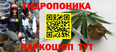 PSILOCYBIN Будённовск