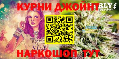 PSILOCYBIN Будённовск