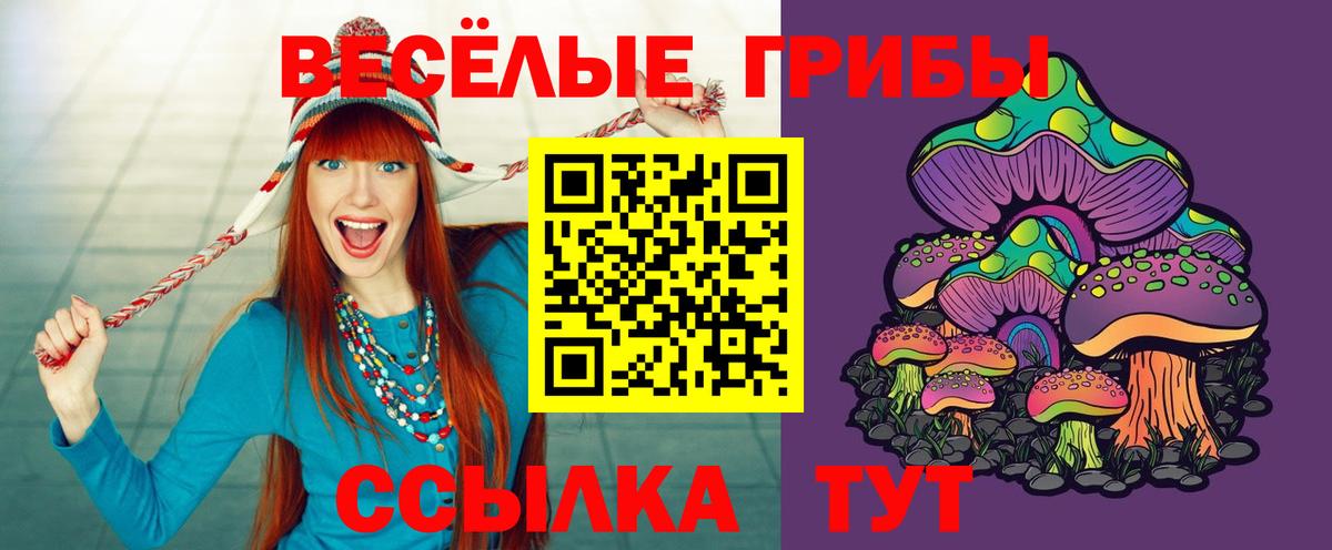 Псилоцибиновые грибы мухоморы  Псилоцибиновые грибы ЛСД  Вход с VPN  Заинск 