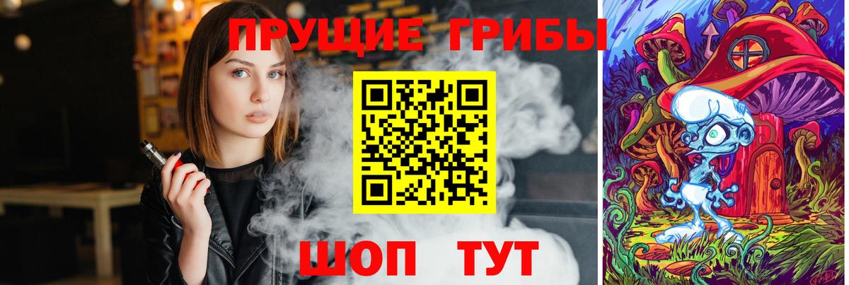 Галлюциногенные грибы Psilocybine cubensis Заинск